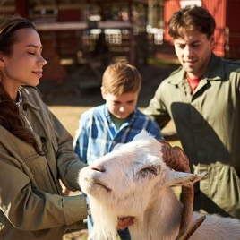 Visite d'une Ferme Pédagogique : La ferme de Popo à Agonac